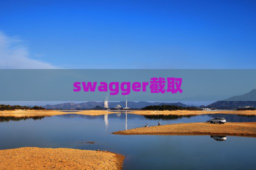 swagger截取